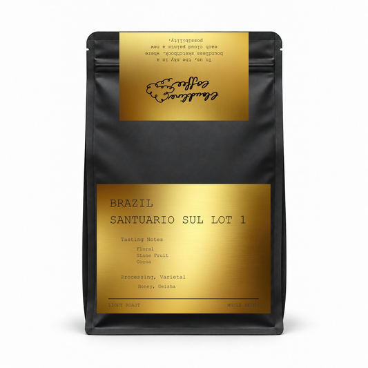 Brazil Santuario Sul Honey Geisha