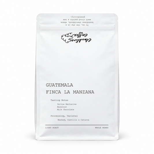 Guatemala Finca La Manzana Washed Castillo
